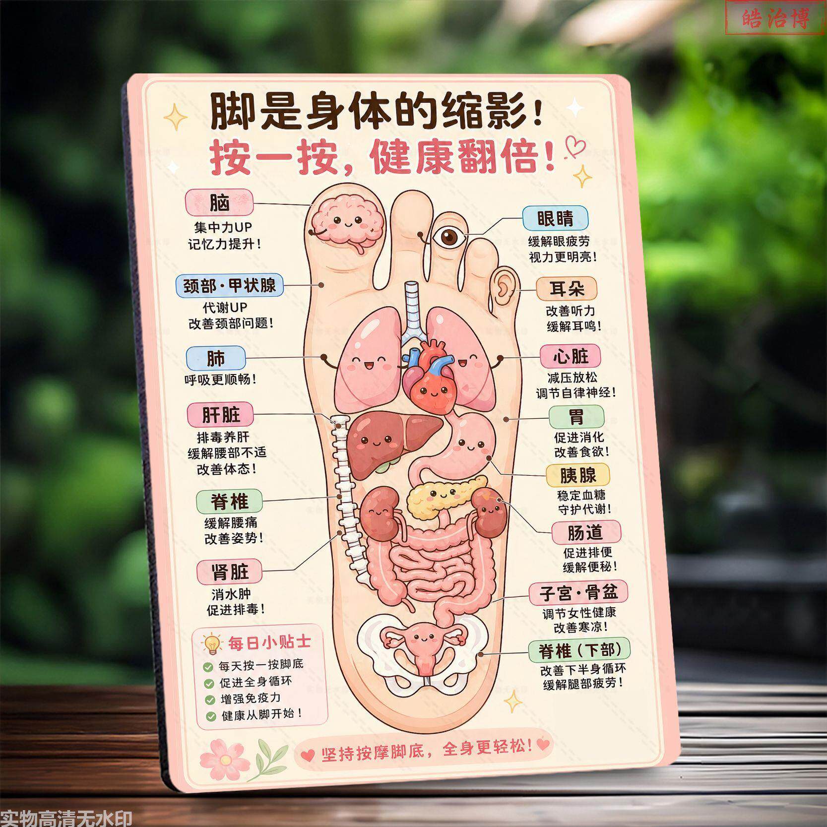 足部对应器官按摩好处养生推拿馆展示板相框足浴店海报装饰画摆台