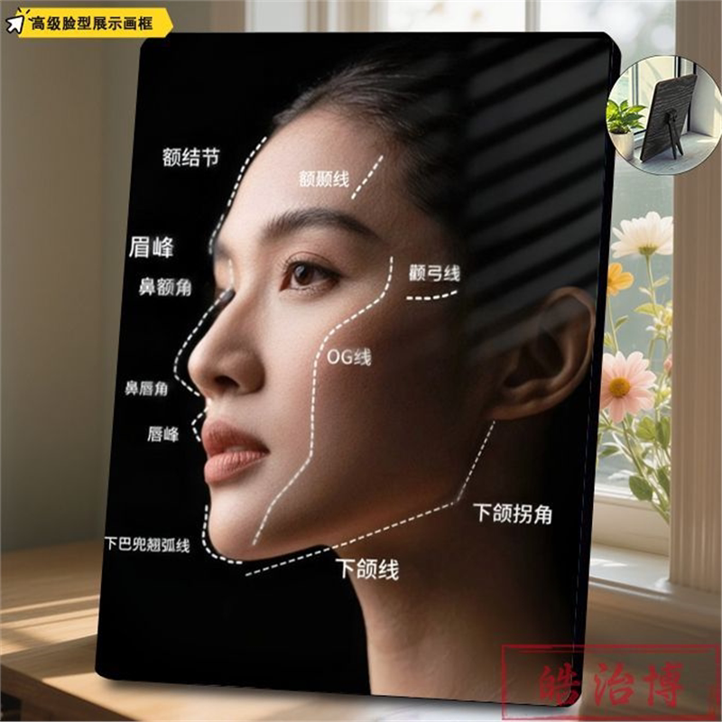 高阶脸面部轮廓展示板相框医美咨询画框美容院护肤品店摆件摆台