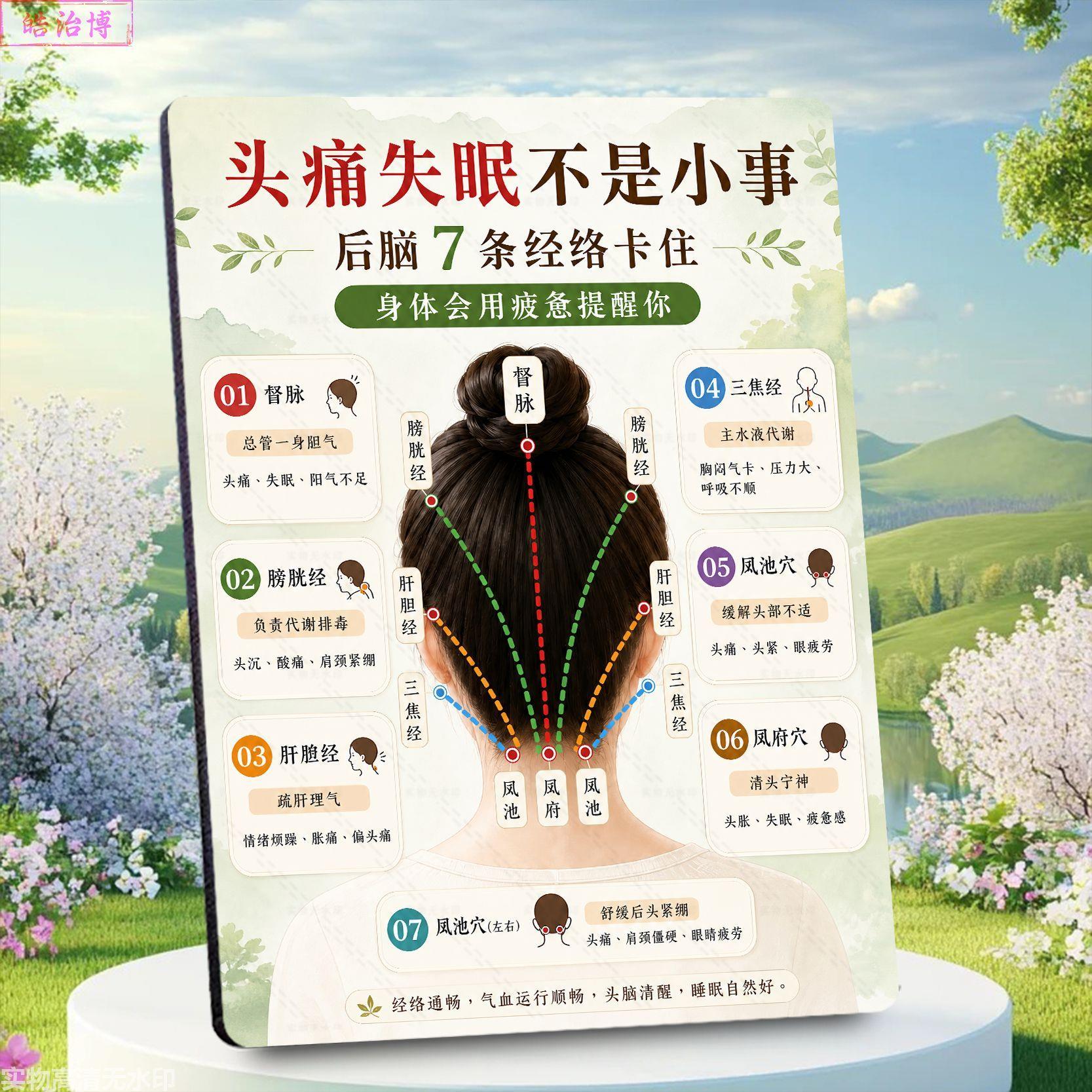 头部经络不适症状头疗养生馆海报展示牌新款相框调理中心装饰摆台