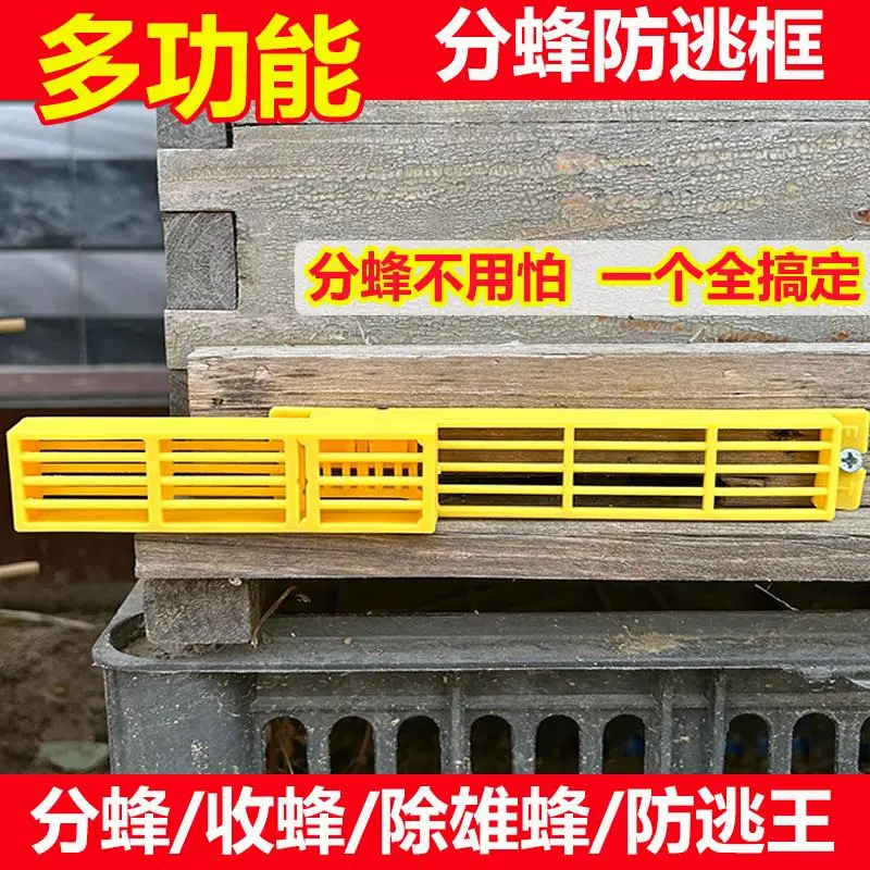 中蜂分蜂防逃自动收王器