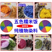 新鲜红蓝草紫蓝草染饭草广西五色糯米饭花米饭植物染料紫蓝草红蓝