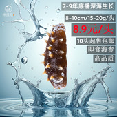 深海底播开袋化冻即食辽刺参 即食海参 头 20g 10头起售