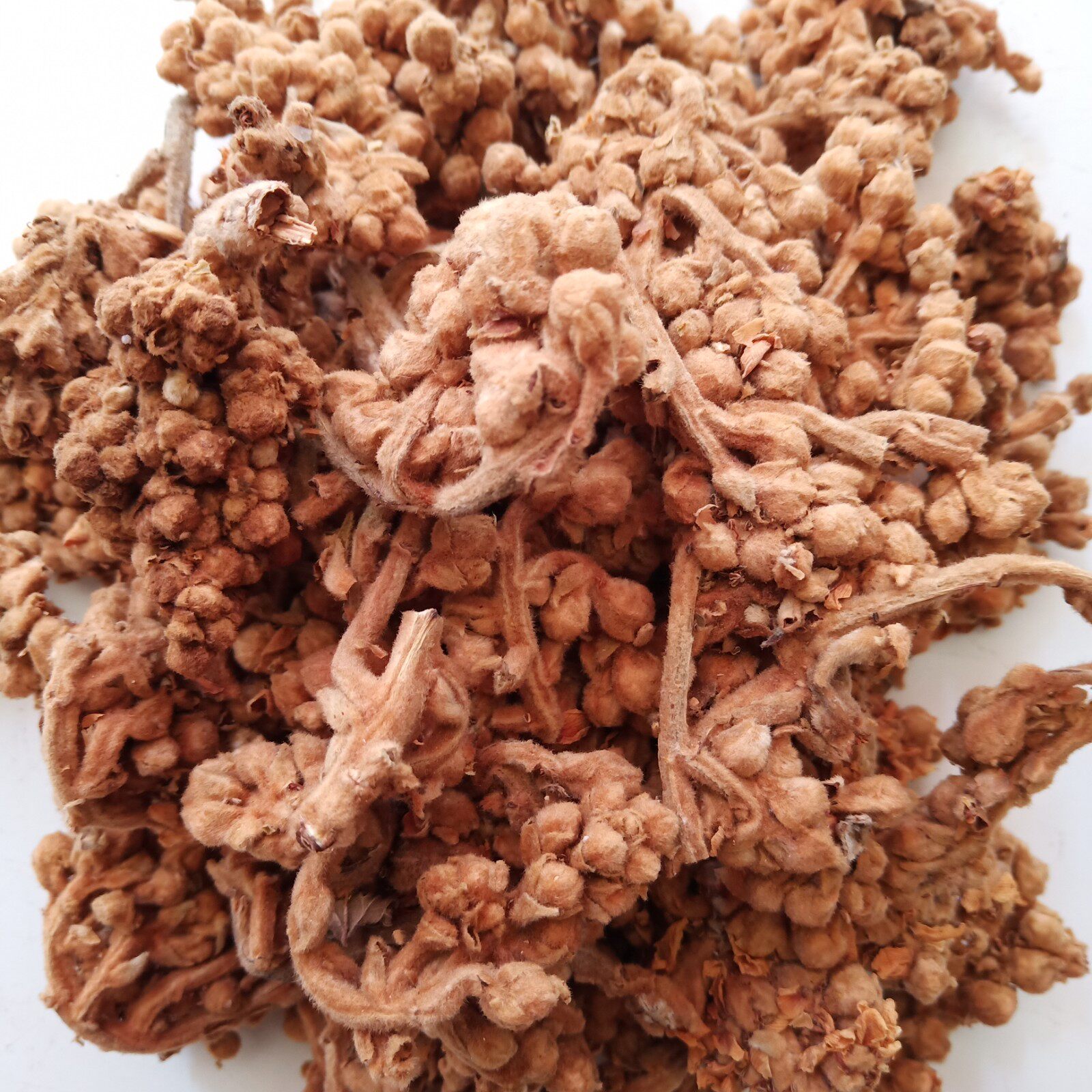 新货天然农家枇杷花蕾 花茶纯白琵琶花煲汤材料干货500克包邮