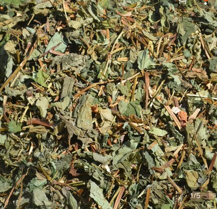 农家自晒新鲜晒干野生鱼腥草 佛耳草 狗点耳折耳根500g包邮