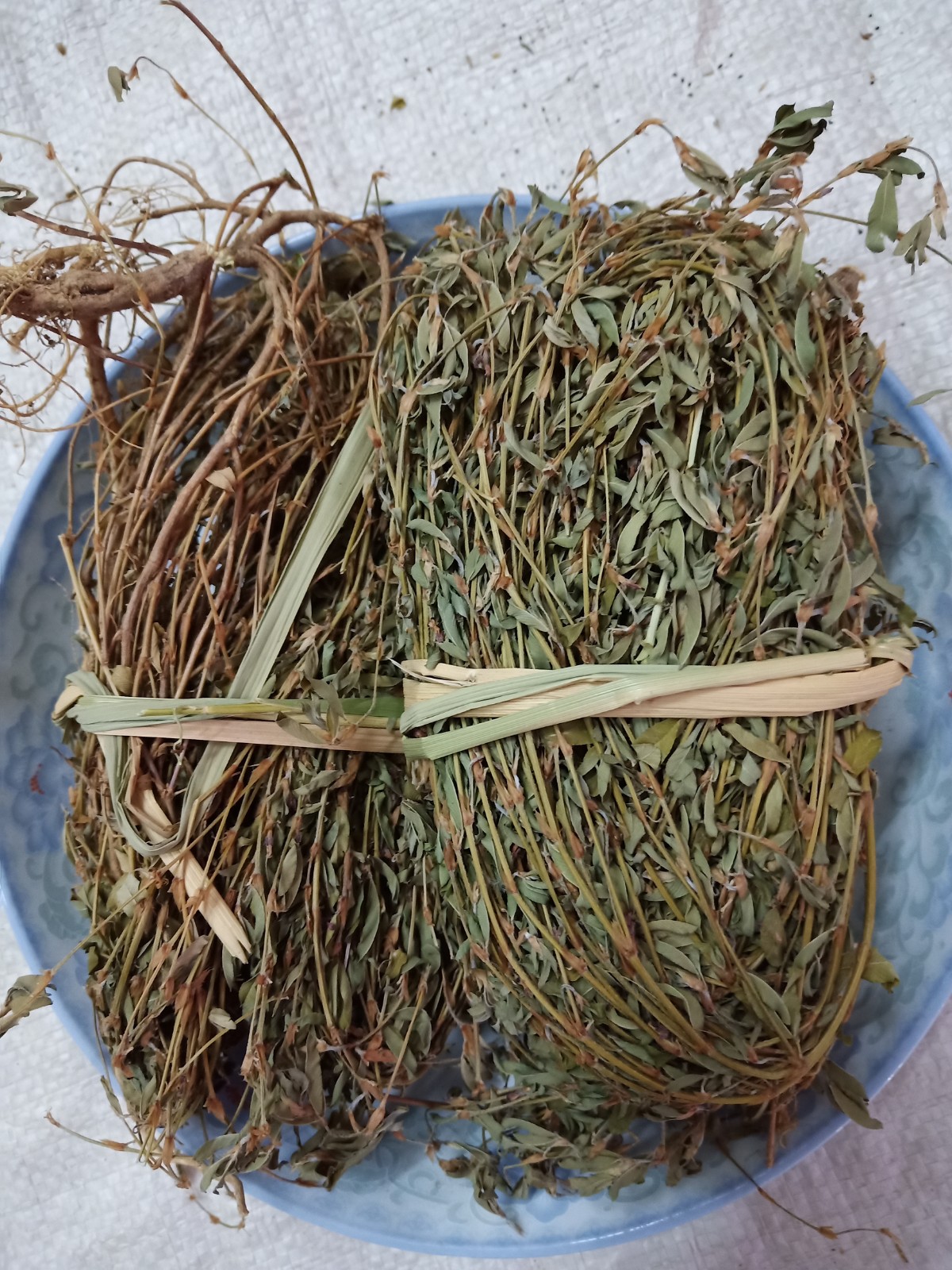 人字草,苍蝇翅,鸡眼草,三叶草,三叶人字草,老鸦许,铺地锦.