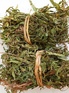 新货野生铁苋菜/血见愁/海蚌含珠/湿热草/李子草500克包邮