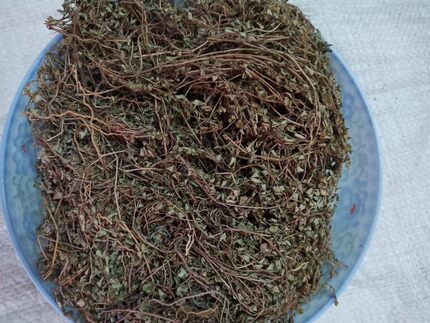 农家自晒野生中药材细叶飞扬草 小飞扬 乳汁草 面汁藤 地锦草500g