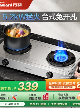 万和不锈钢煤气灶双灶家用天然气液化气台式燃气灶D9