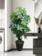 彷真绿植大型发财树客厅装 饰绿色室内彷生假花盆栽塑料植物假盆景