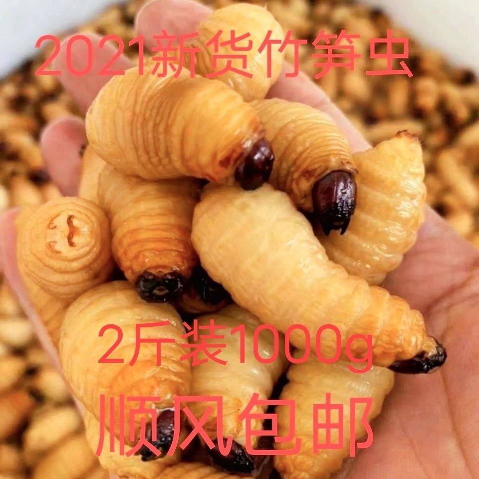 1斤速冻食用大竹虫竹笋虫竹蛹大竹蛆笋蛆笋子虫生鲜速冻满2斤包邮