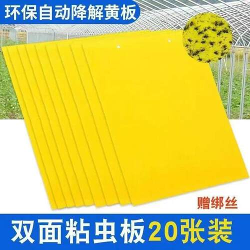 黄板双面粘虫板诱虫板粘蚊虫贴纸