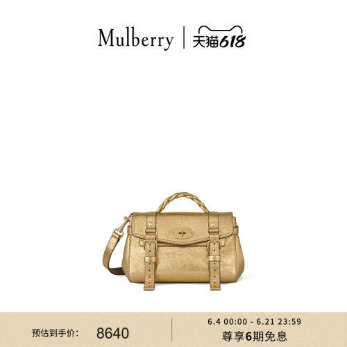 MulberryAlexa迷你学院包