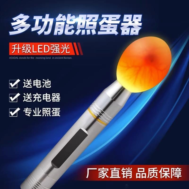 德国精工照蛋器led手电筒孵化专用验蛋孵蛋可充电照蛋灯