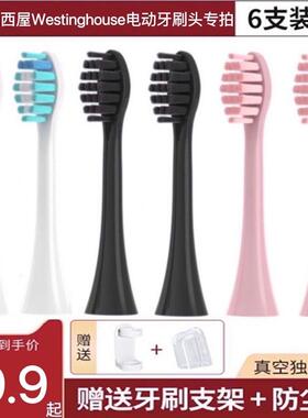 适用美国西屋电动牙刷头301b/p/w/501w/301G/F/504Y/G/L/608/505