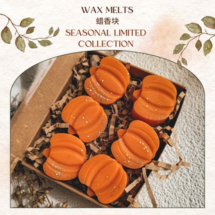 Seasonal香薰蜡块秋季 Melts 淡香礼品香氛家居 Wax Autumn