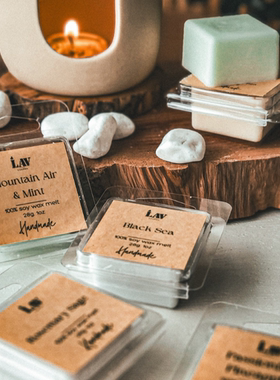 Single Shot Wax Melts 28g 单发蜡香薰立方体香味芳香疗法松弛