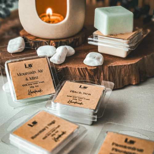 Single Shot Wax Melts 28g 单发蜡香薰立方体香味芳香疗法松弛