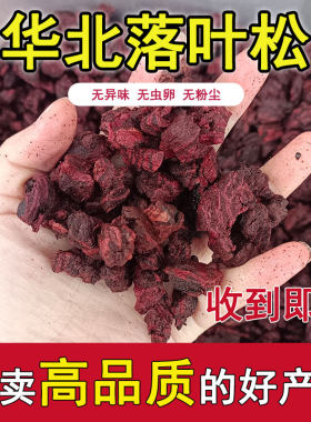 华北落叶松扣弹海绵体石斛蝴蝶兰兰花专用松树皮种植专用营养土