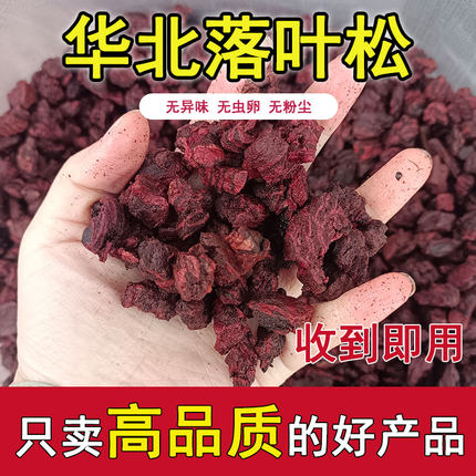 华北落叶松扣弹海绵体石斛蝴蝶兰兰花专用松树皮种植专用营养土