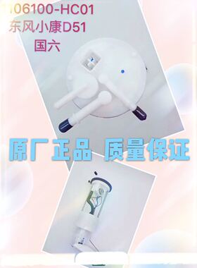 东风小康D51国六1106100-HC01汽油泵总成燃油泵