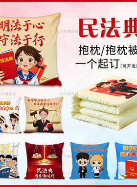 民法典宣传月抱枕学校法院八五普法治活动文创靠枕头定制纪念礼品