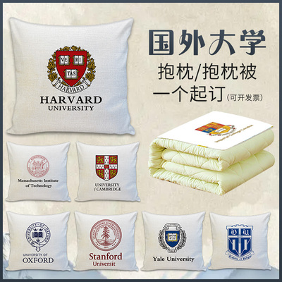 国外名校logo抱枕定制午休靠垫