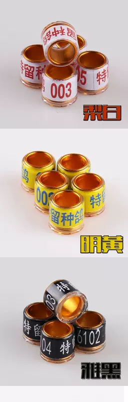 Nhẫn chim bồ câu Hàn Quốc giống đặc biệt chim bồ câu vòng nhẫn chim bồ câu chân vòng cung cấp thiết bị đánh dấu chim vòng chân chim bồ câu đua - Chim & Chăm sóc chim Supplies cám cho chim sáo ăn	