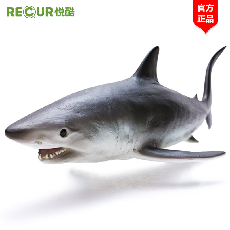 recur悦酷 灰鲭鲨鱼玩具儿童仿真海洋世界动物模型塑胶大白鲨
