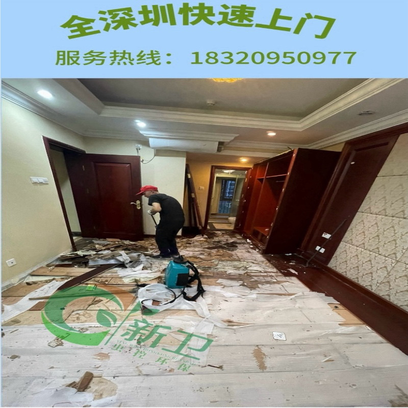 深圳上门杀虫公司专业除白蚁防治白蚁除蟑螂除蚂蚁服务