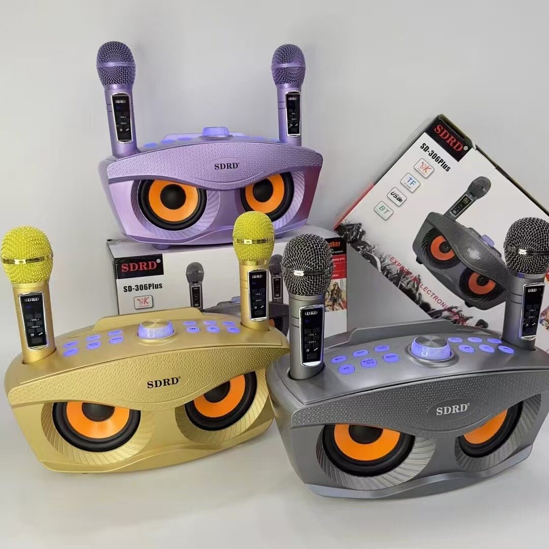 外贸直销SD306plus家庭影院KTV无蓝牙音响一体机双人合唱线麦克风