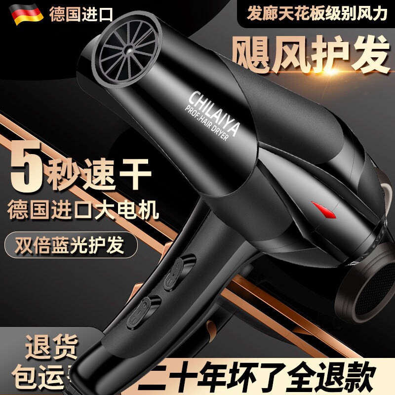德国电吹风机家用大功率发廊专用