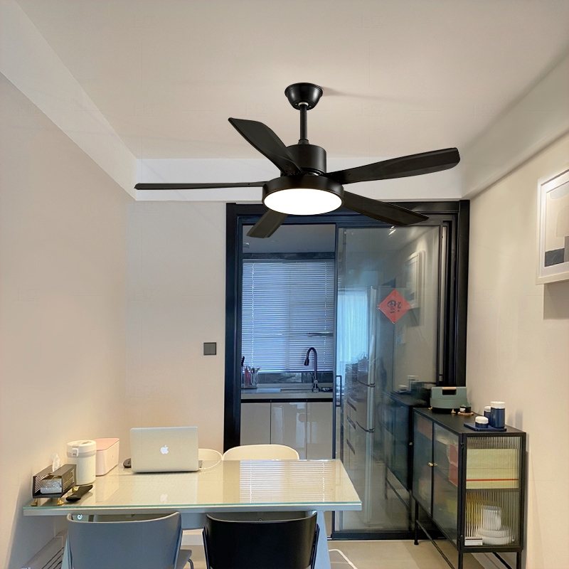 新型餐厅风扇吊扇一体灯具2025新