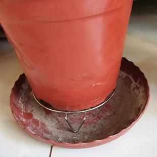 简易花架不锈钢多肉君子兰客厅花盆架阳台花架子室内盆景架置物架