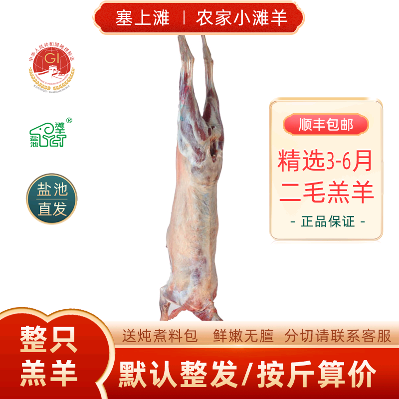 宁夏盐池滩羊整只羔羊塞上滩