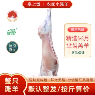宁夏羊肉盐池滩羊全羊整只整羊肉新鲜现宰白条36斤不带皮烧烤年货