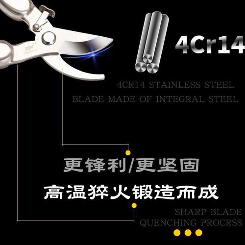 日本进口剪树枝专用剪刀修枝剪不锈钢园艺花草葡萄果树摘果植物剪
