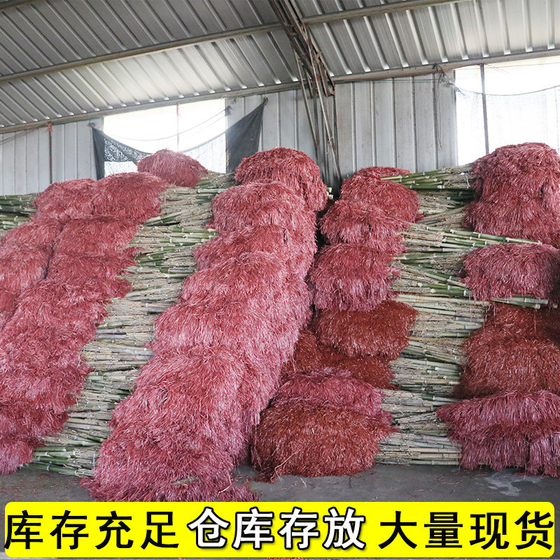 姚河加厚竹杆扫把簸箕套装