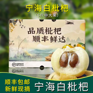 【甄选】顺丰宁海白玉枇杷新鲜水果5斤白沙枇杷礼盒装非苏州东山
