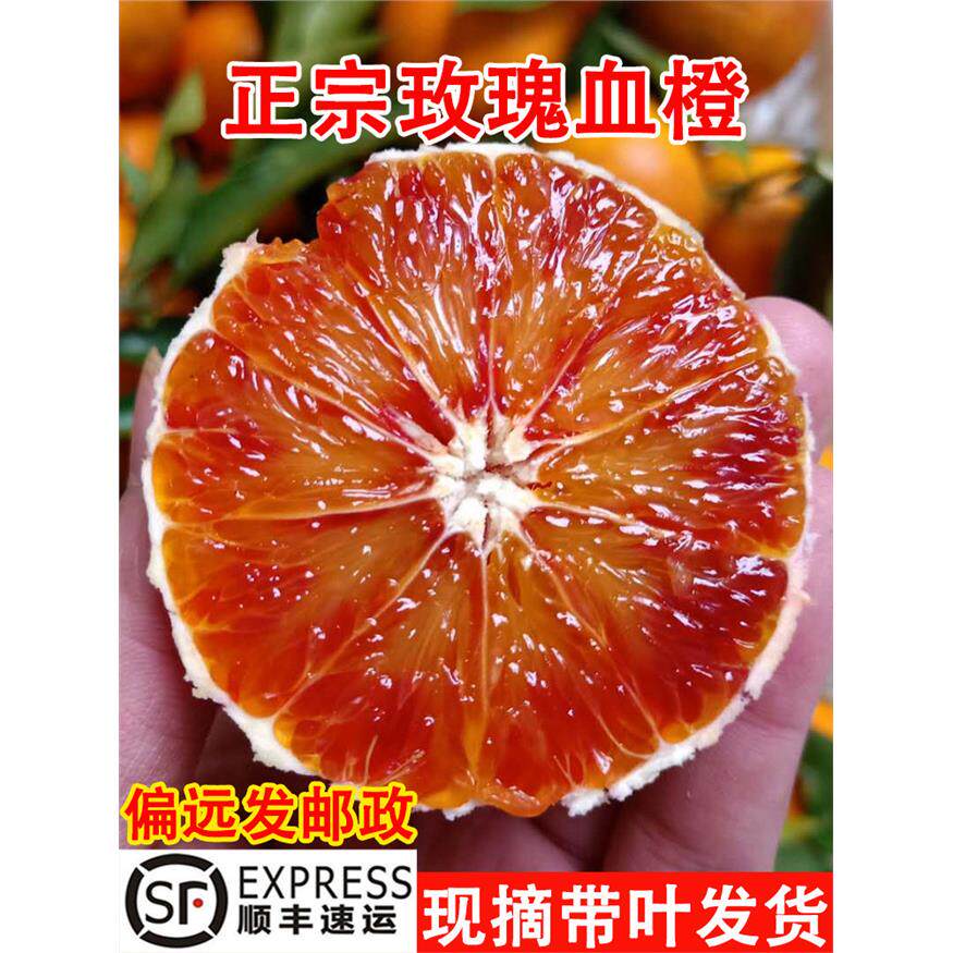 重庆血橙万州玫瑰香橙子当季新鲜孕妇水果整箱10四川塔罗科红心脐
