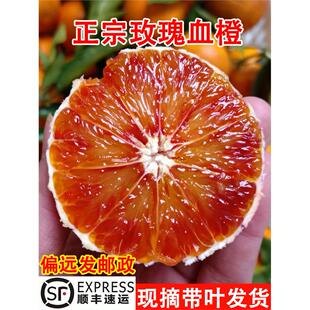 重庆血橙万州玫瑰香橙子当季新鲜孕妇水果整箱10四川塔罗科红心脐