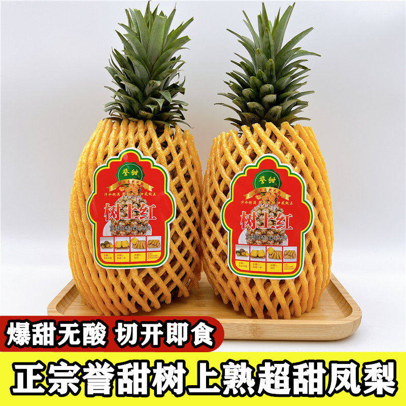 台湾引种树上熟凤梨金钻