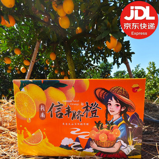 [京东快递]现摘正宗江西赣南信丰脐橙20斤装10新鲜橙子特产地直发