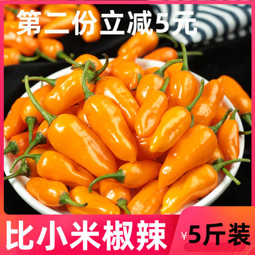5斤装魔鬼椒新鲜辣椒永安