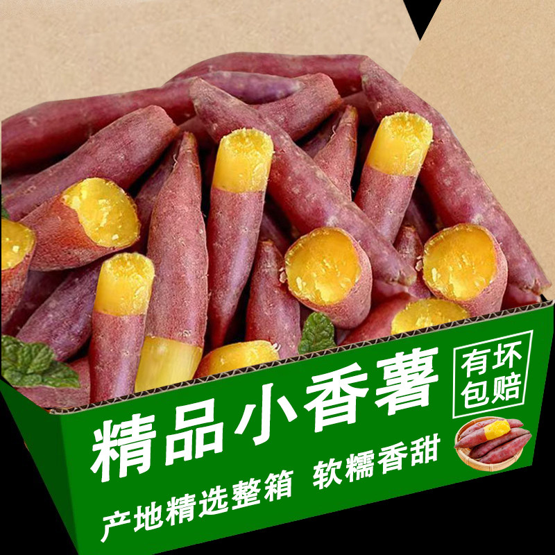 沙地蜜薯红薯小香薯糖心