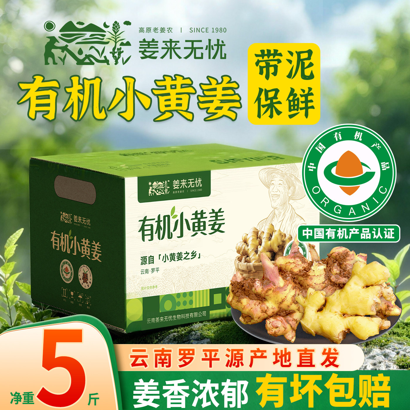 姜来无忧云南罗平有机小