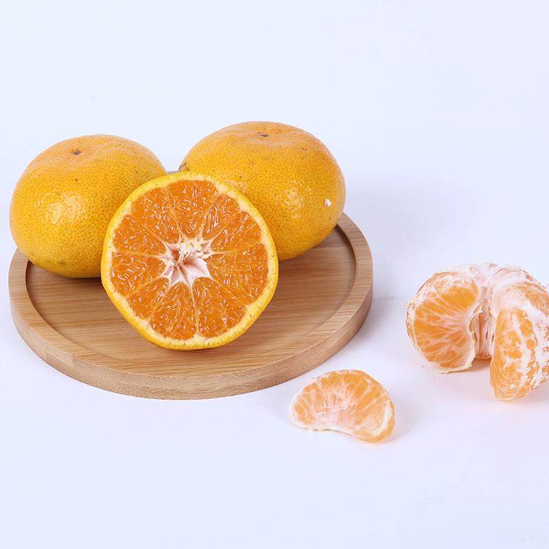 正宗临海涌泉蜜桔高山早熟宫川无核黄岩蜜橘新鲜水果现摘桔子10斤,3C数码配件,笔记本个性小贴纸,淘宝优惠券,粉丝福利购,淘宝优惠卷