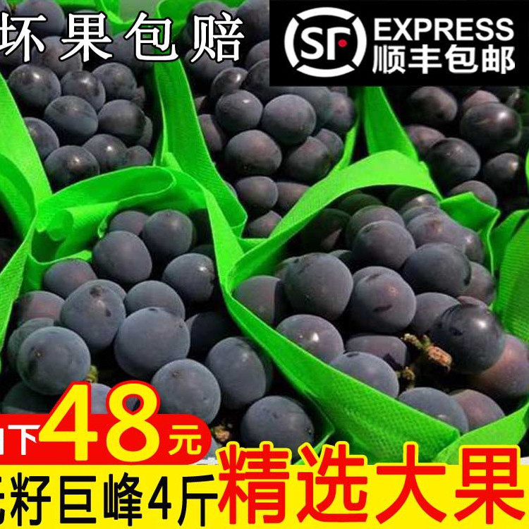 现摘辽峰葡萄东北辽宁新鲜水果5斤整箱当季新鲜 串装发货顺丰包邮