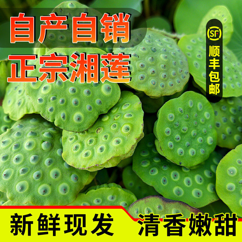 莲蓬新鲜现摘莲子生吃孕