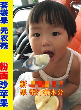 珍妹陕西粉面沙甜苹果宝