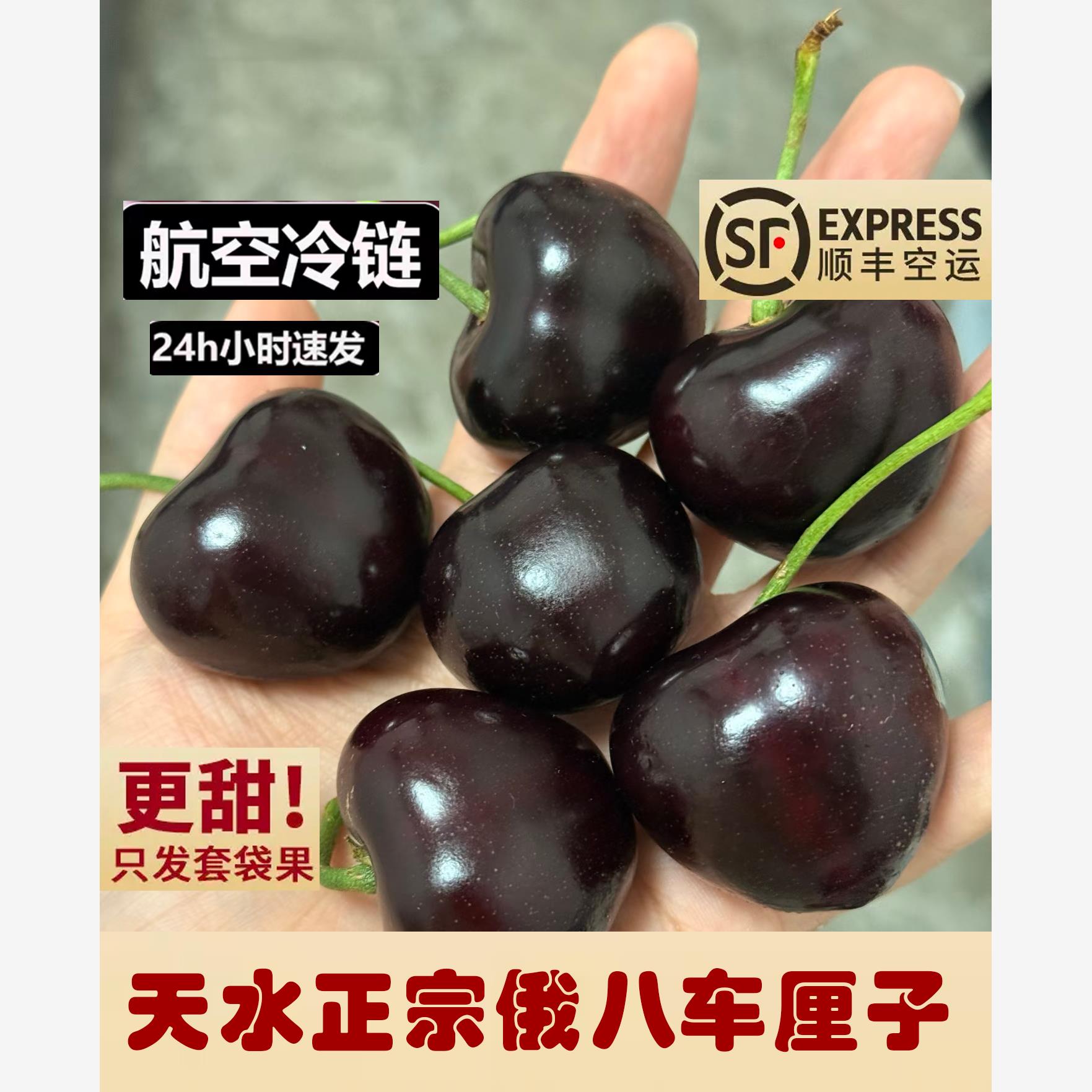 天水正宗【俄八】大樱桃